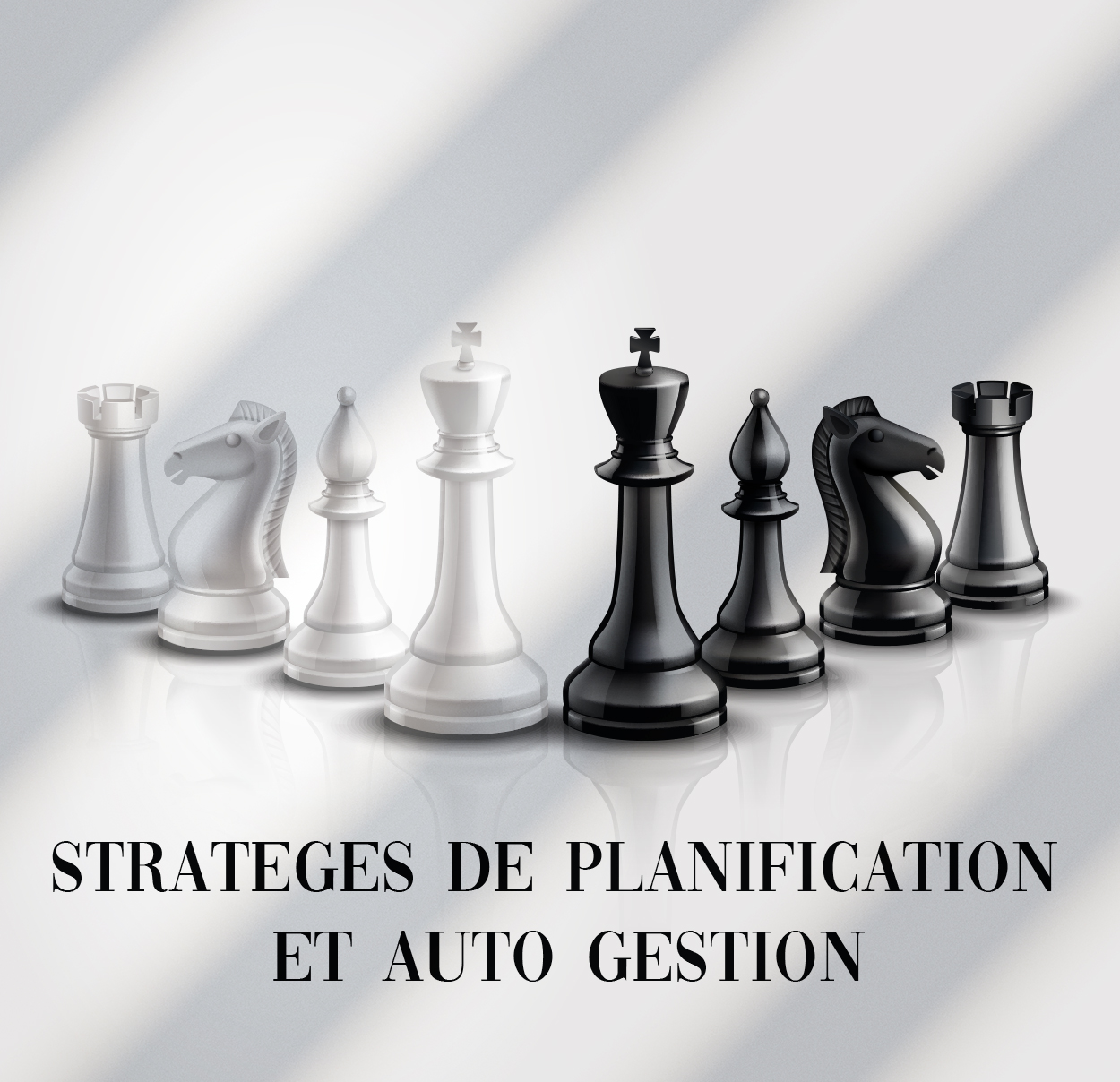 Maxout Starter : Planification Stratégique Et Stratégies D'autogestion