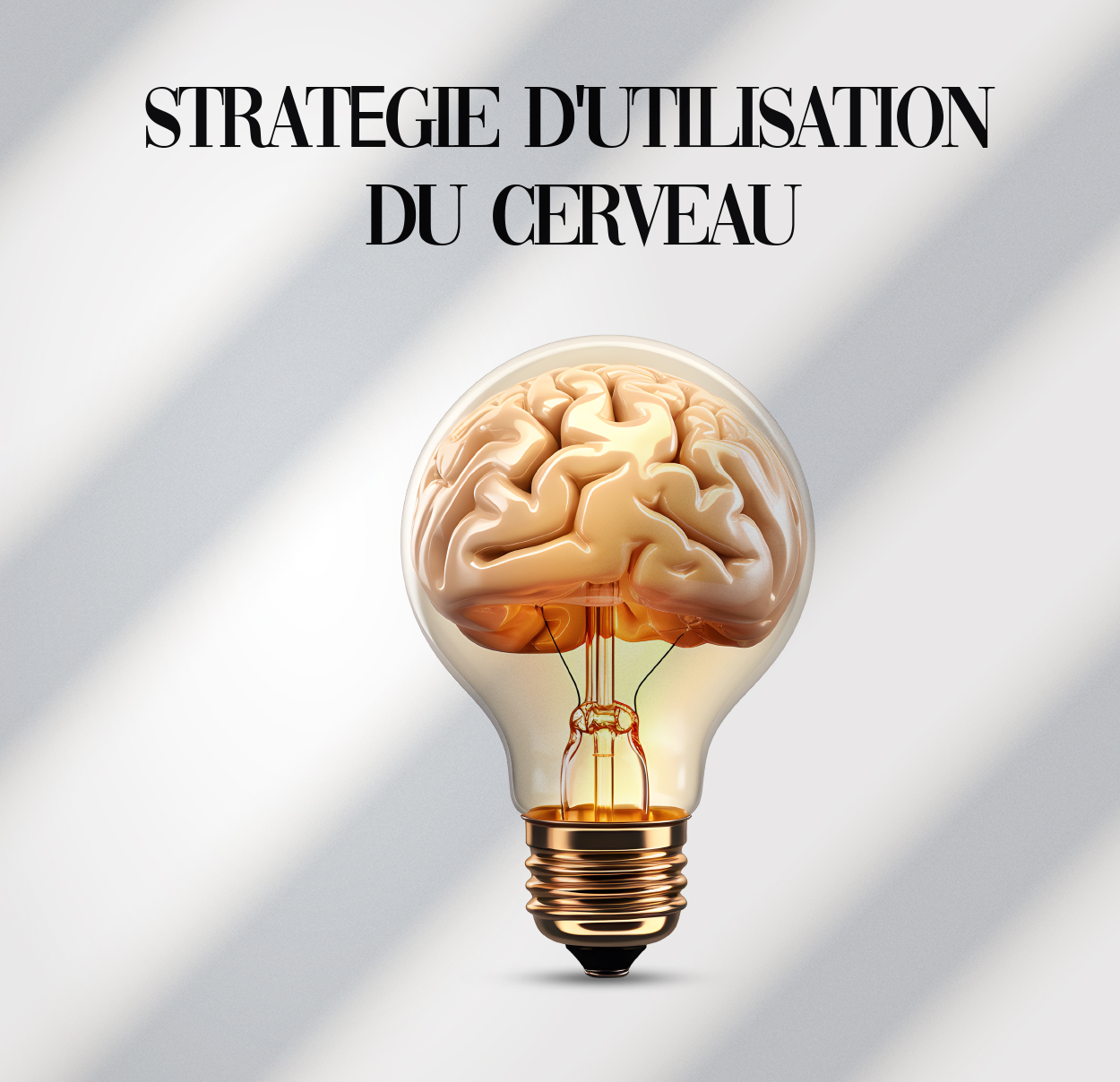 Maxout Starter : Utilisation Optimale Du Cerveau