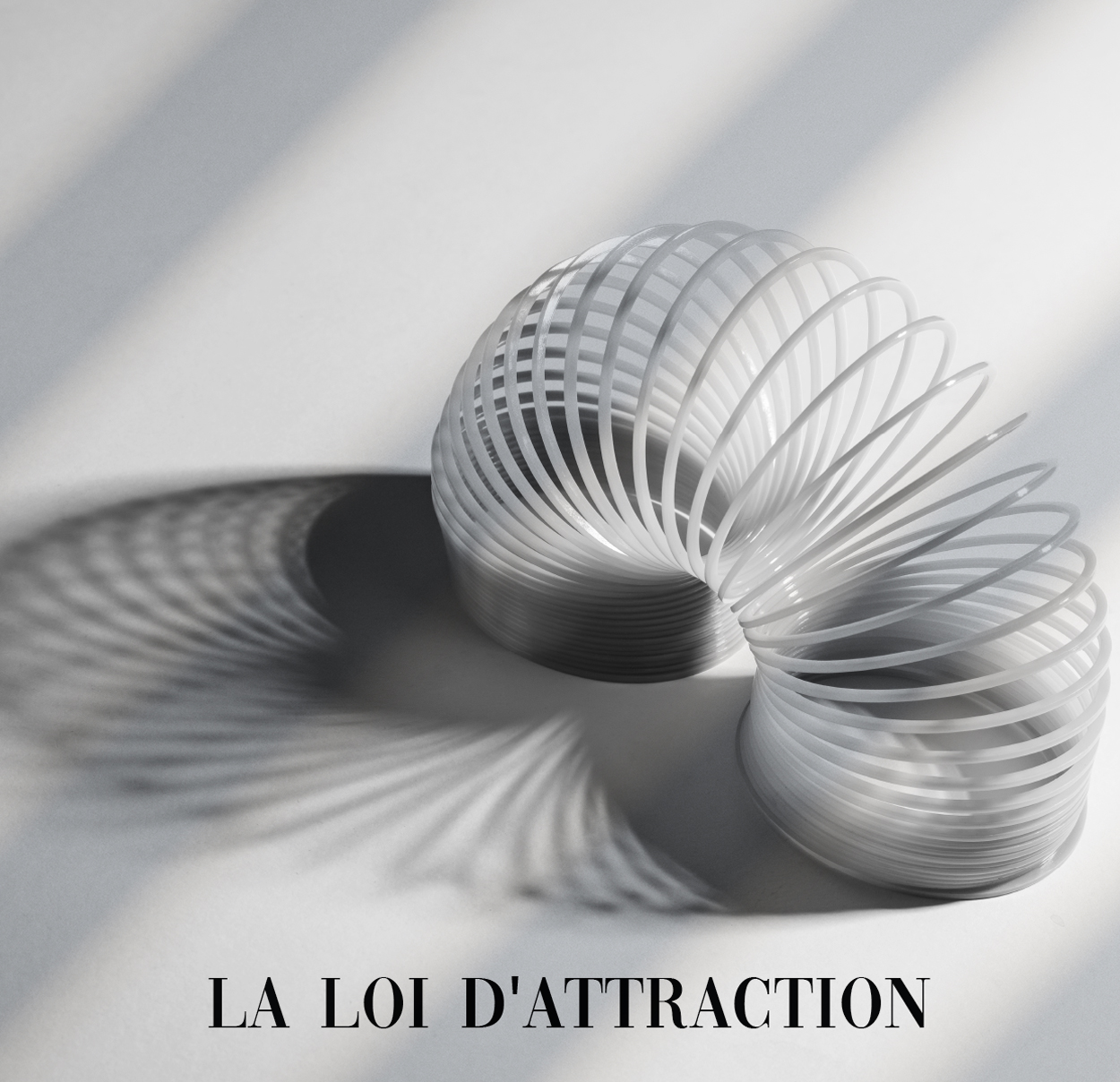 Maxout Starter : Loi D'attraction