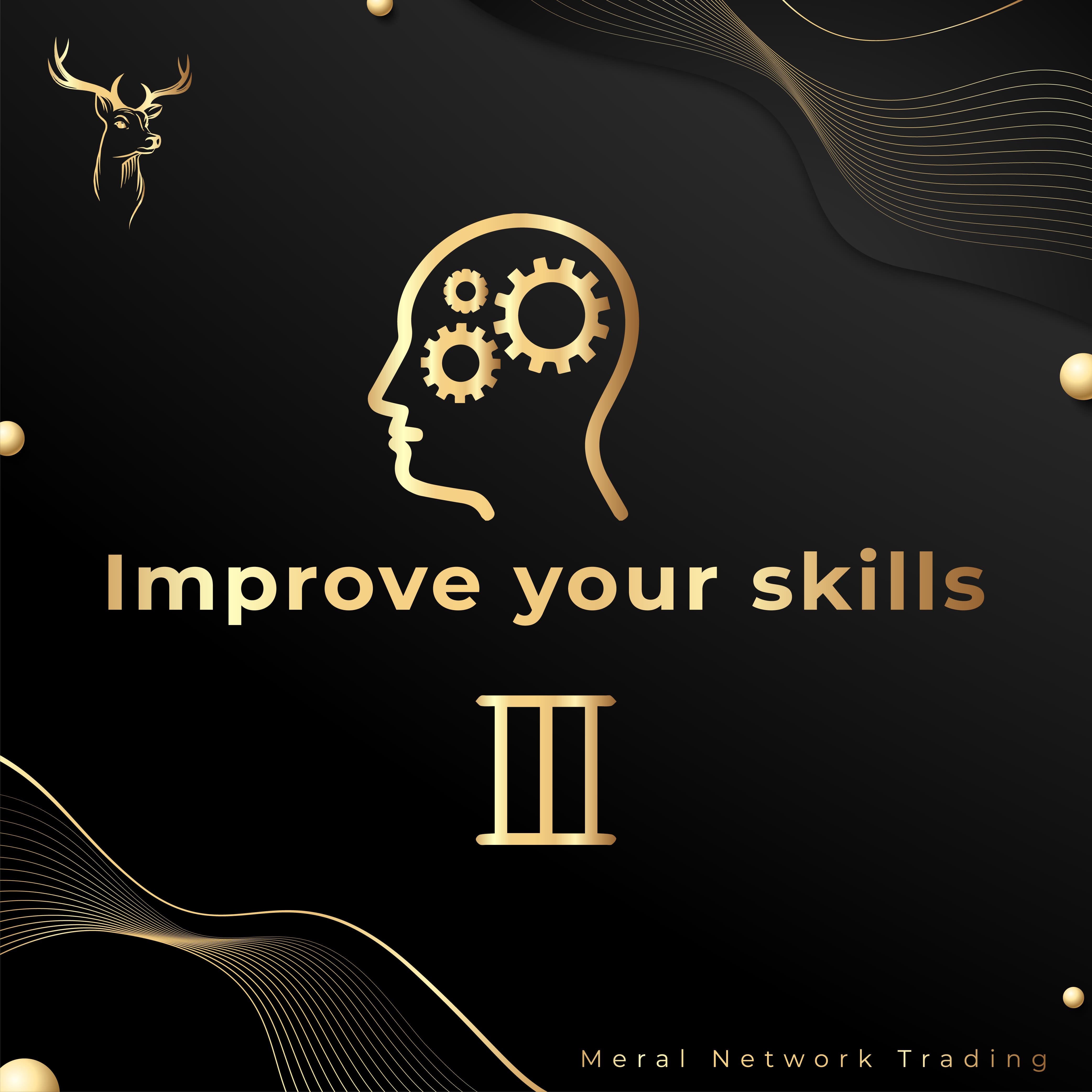 Improve Your Skills Plan 3