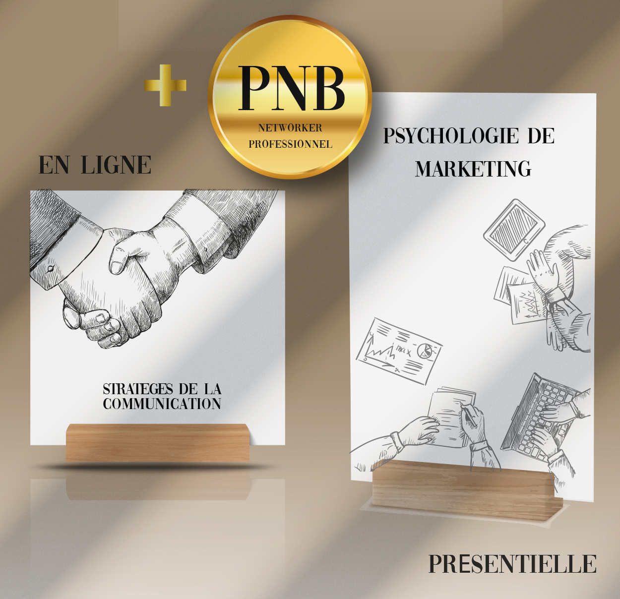 Psychologie De Marketing Présentielle + Pnb  Pack Bronze 1 