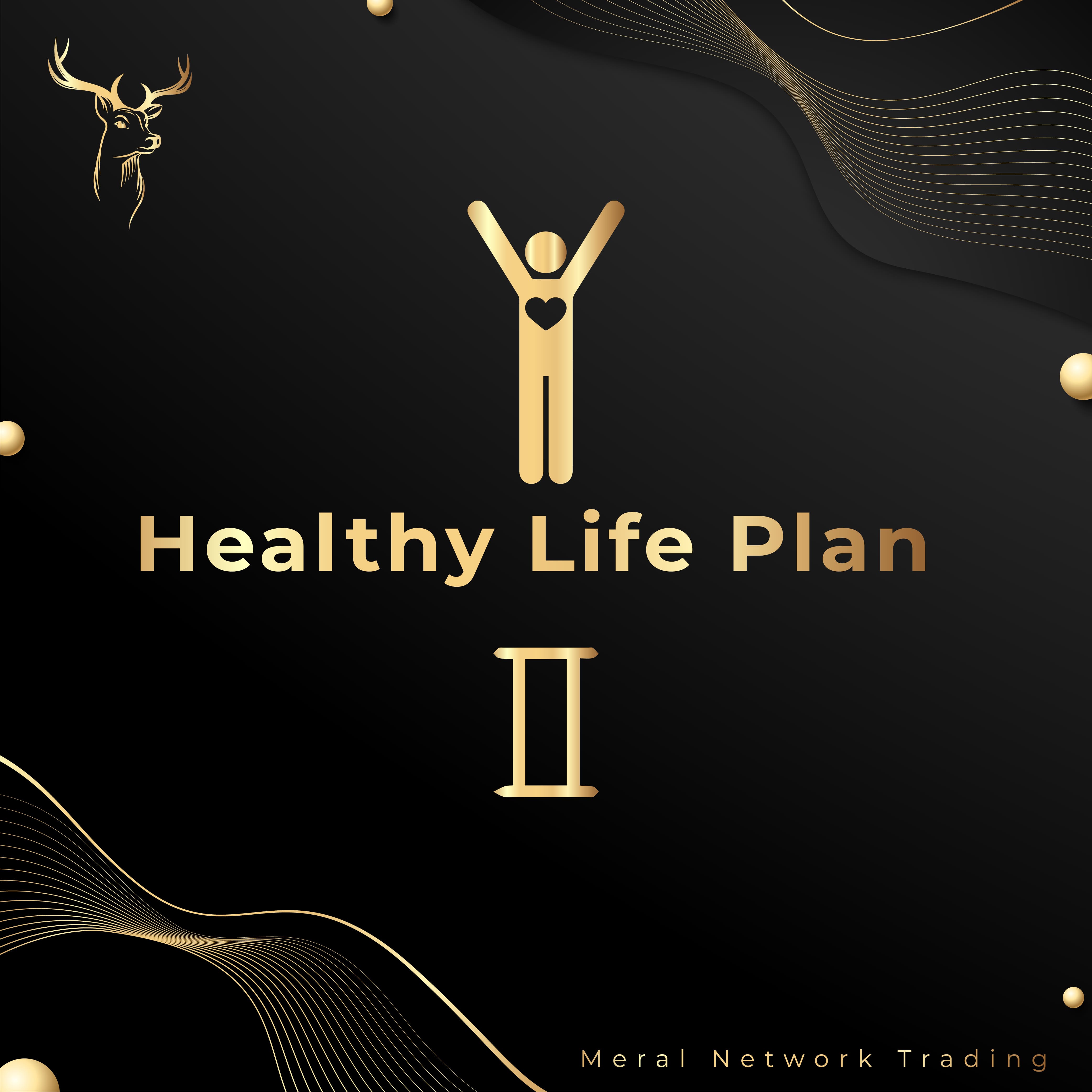 Healthy Life Plan 2