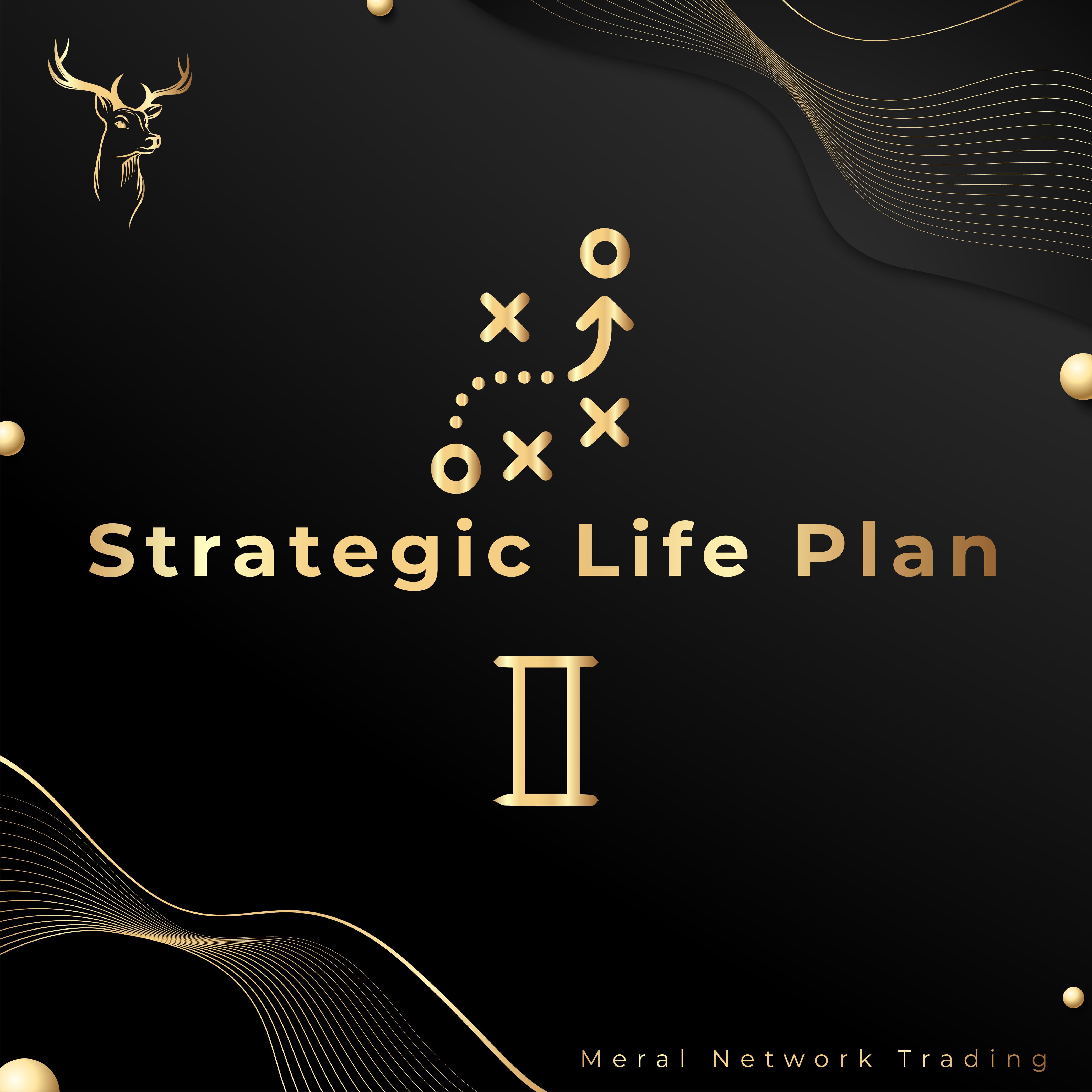 Strategic Life Plan 2