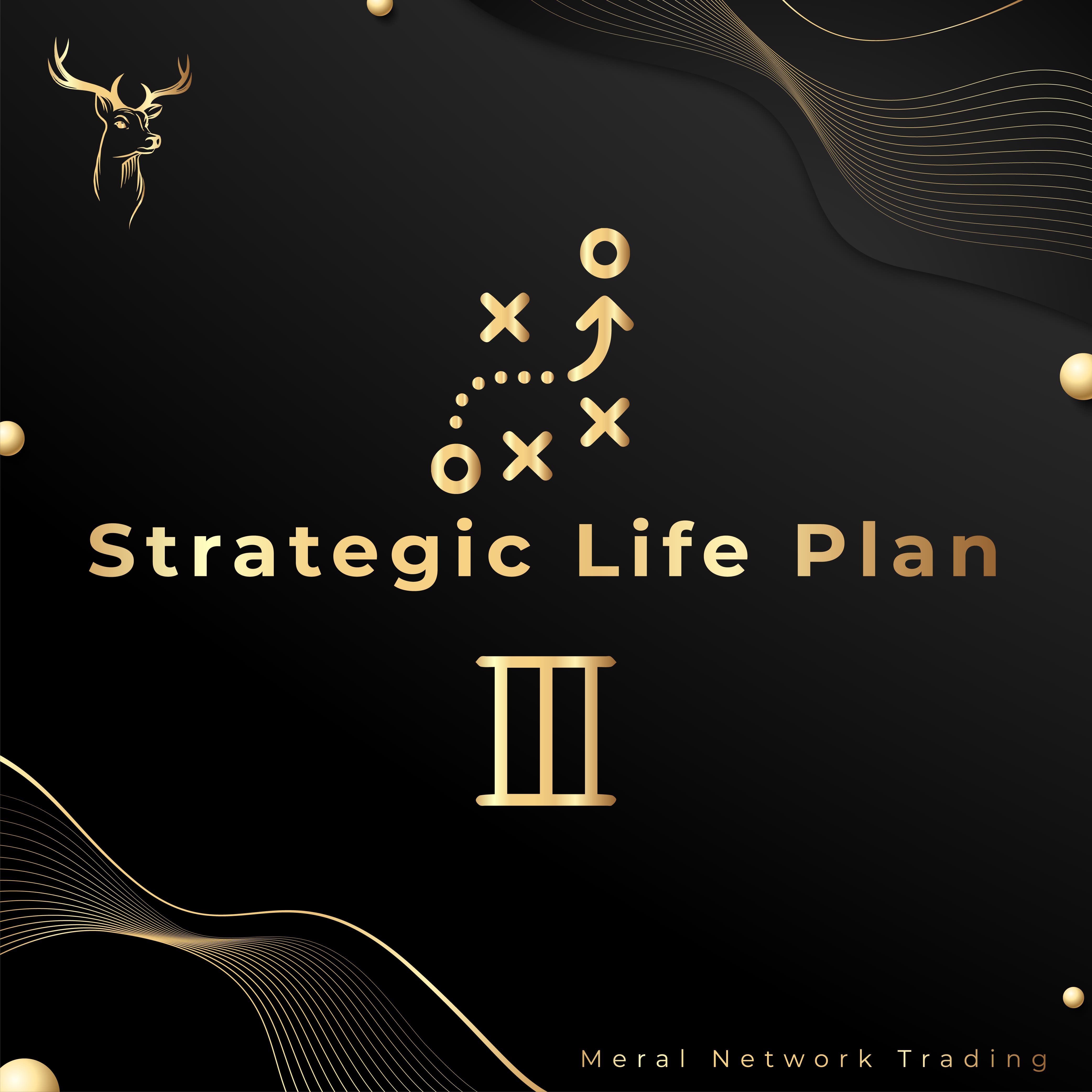 Strategic Life Plan 3