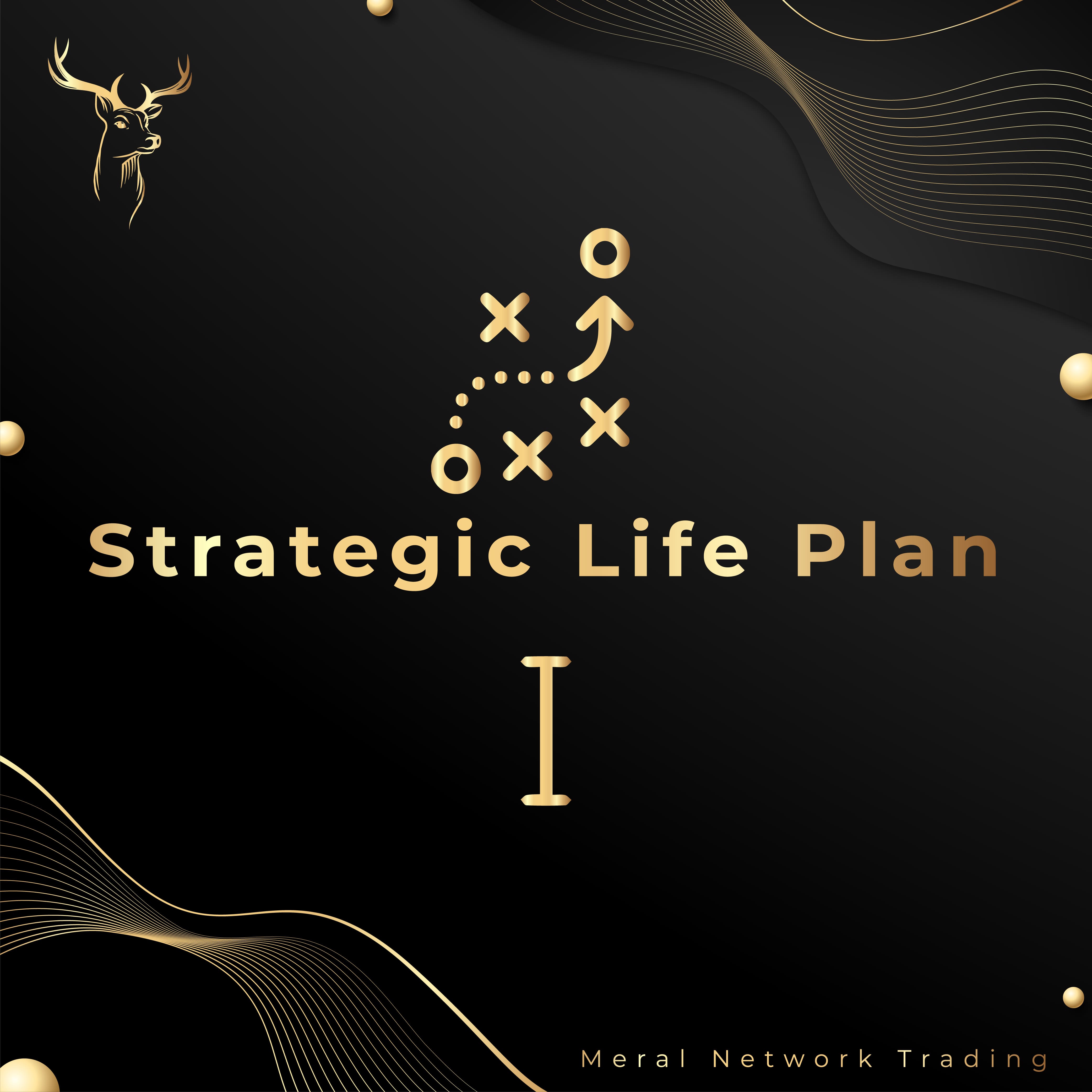 Strategic Life Plan 1