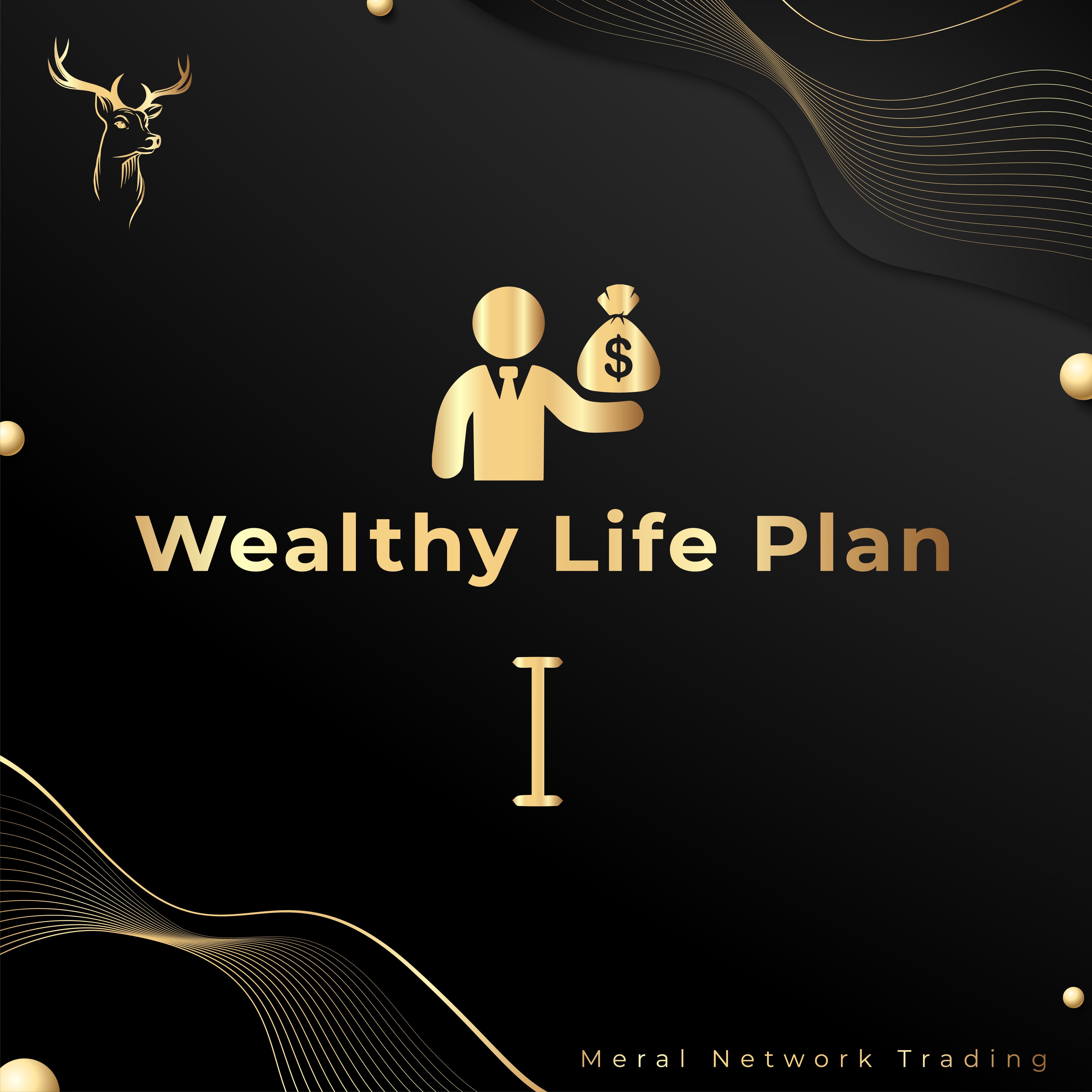 Wealthy Life Plan 1