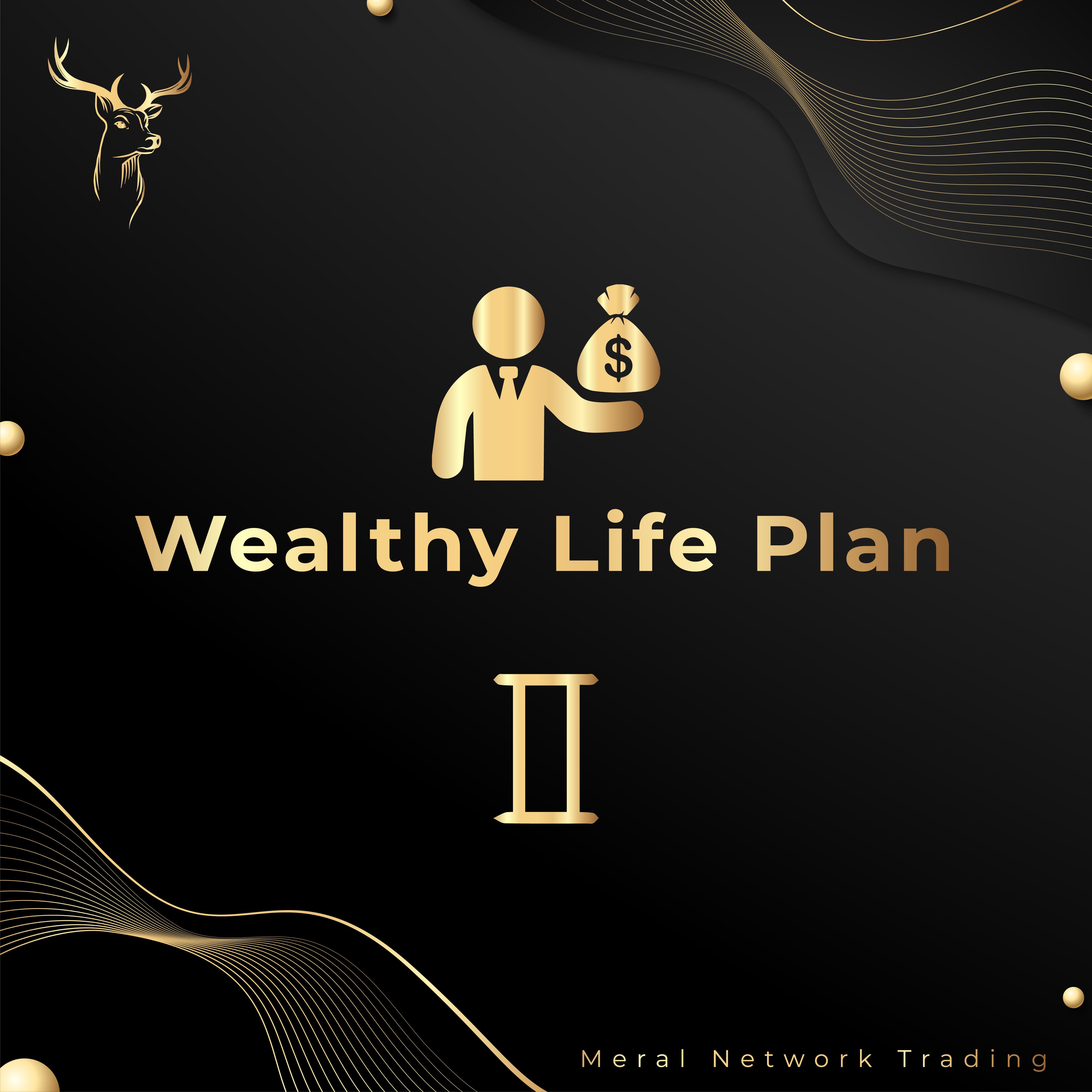 Wealthy Life Plan 2