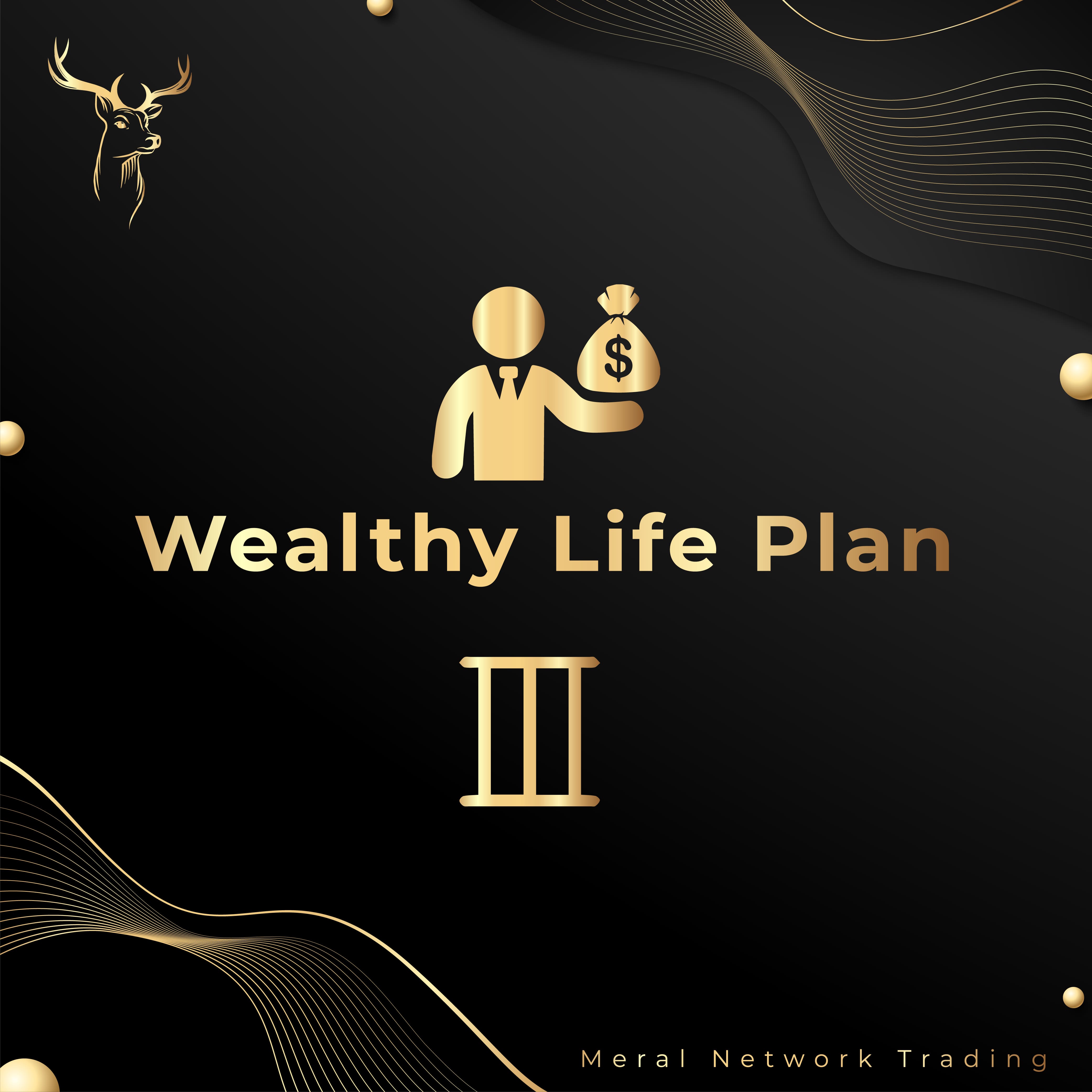 Wealthy Life Plan 3